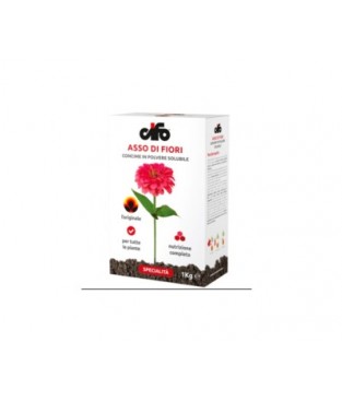 ASSO DI FIORI CONCIME 20/20/20 TRIPLO UTILIZZO CONF DA KG 1   CIFO concime