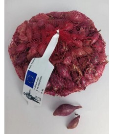 BULBI DI CIPOLLA ROSSA DA GRAMMI 500