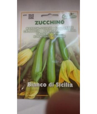 BUSTA SEMI BUSTINA SEMENTI ZUCCHINO BIANCO DI SICILIA ZUCCA DA FRIGERE GR 5  