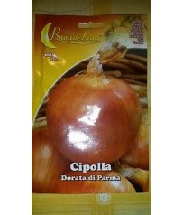 BUSTA SEMI CIPOLLA DORATA DI PARMA GR 5