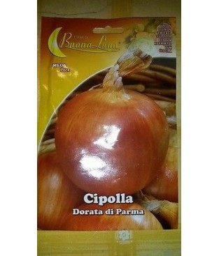 BUSTA SEMI CIPOLLA DORATA DI PARMA GR 5