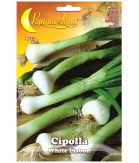 BUSTA SEMI CIPOLLA   WHITE LISBON  GR 3,50