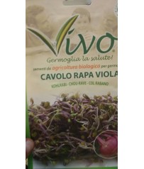 BUSTA SEMI DI GERMOGLIO CAVOLO RAPA VIOLA BIOLOGICO GR 10