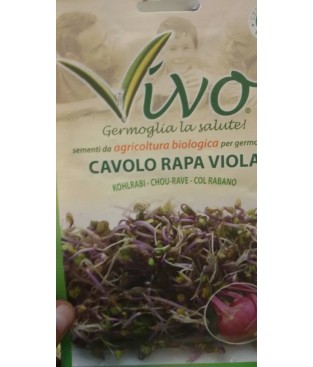 BUSTA SEMI DI GERMOGLIO CAVOLO RAPA VIOLA BIOLOGICO GR 10