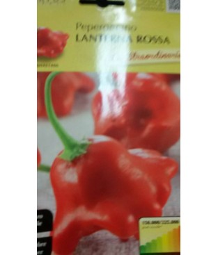 BUSTA SEMI DI PEPERONCINO    LANTERNA ROSSA  SEMENTI GR 0,20