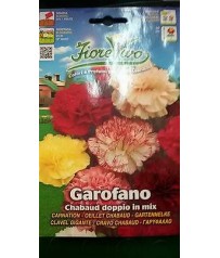 BUSTA SEMI GAROFANO DOPPIO IN MIX 