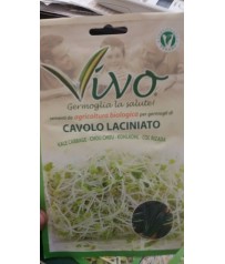 BUSTA SEMI  GERMOGLI DI CAVOLO LANCINATO    BIOLOGICO GR 10