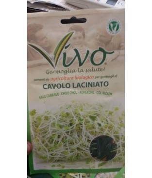 BUSTA SEMI  GERMOGLI DI CAVOLO LANCINATO    BIOLOGICO GR 10