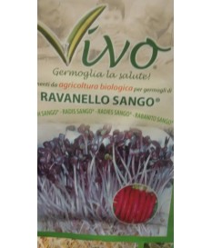 BUSTA SEMI  GERMOGLIO DI RAVANELLO SANGO   BIOLOGICO GR 10