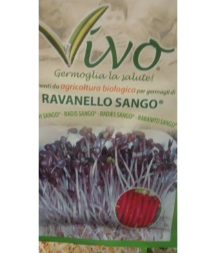 BUSTA SEMI  GERMOGLIO DI RAVANELLO SANGO   BIOLOGICO GR 10