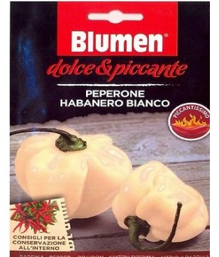 BUSTA SEMI PEPERONCINO HABANERO BIANCO