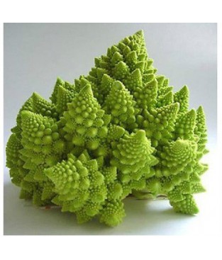 BUSTE SEMI CAVOLFIORE ROMANESCO 