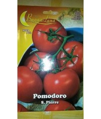 BUSTE SEMI DI POMODORO S. PIERRE GR 1,5