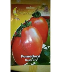 BUSTE SEMI DI POMODORO  VF ROMA GR 2