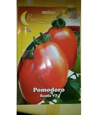 BUSTE SEMI DI POMODORO  VF ROMA GR 2