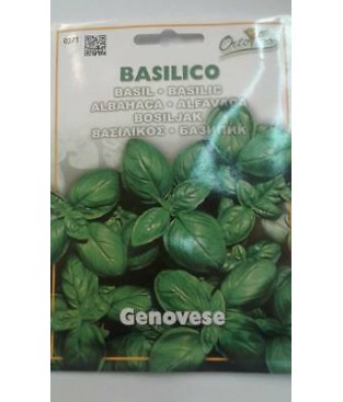   BUSTINA DI  BASILICO GENOVESE grammi 5