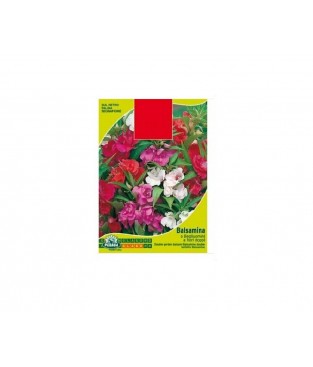 BUSTINA SEMI DI  BEGLIUOMINI FIORI DOPPI IN MIX BALSAMINA