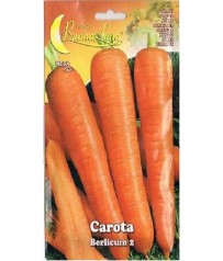  BUSTINA SEMI DI CAROTA BERLICUM 2 