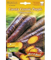 BUSTINA SEMI DI CAROTA COSMIC PURPLE  GR 1