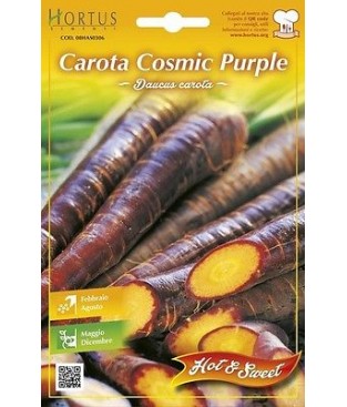 BUSTINA SEMI DI CAROTA COSMIC PURPLE  GR 1