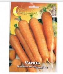 BUSTINA SEMI DI CAROTA NANTESE DI CHIOGGIA 2 
