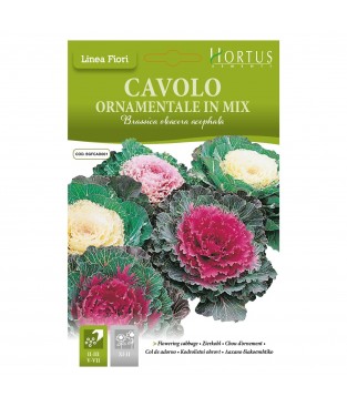BUSTINA SEMI DI CAVOLO ORNAMENTALE IN MIX 