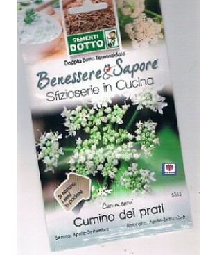 BUSTINA SEMI DI CUMINO GR 0,5 CARUM CARVI SFIZZIOSARIE IN CUCINA 