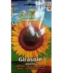  BUSTINA SEMI DI GIRASOLE GIGANTE 