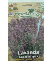 BUSTINA SEMI DI LAVANDA VERA 