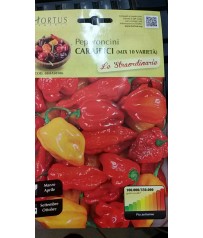 BUSTINA SEMI DI PEPERONCINI MIX CARAIBICI    GR 0,20  PEPERONCINO