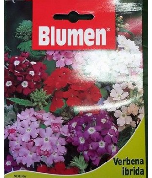 BUSTINA SEMI DI VERBENA GRANDIFLORA 