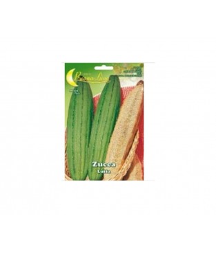 BUSTINA SEMI DI ZUCCA LUFFA SPUGNA NATURALE 