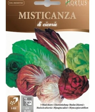 BUSTINA SEMI MISTICANZA DI CICORIE GR8