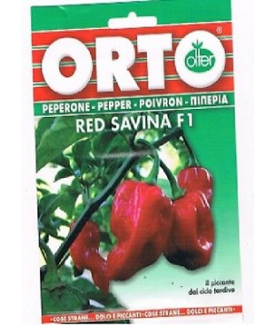 BUSTINA SEMI PEPERONCINO  RED SAVINA FI 