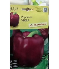 ,BUSTINA SEMI PEPERONE VIOLA Chocolate 