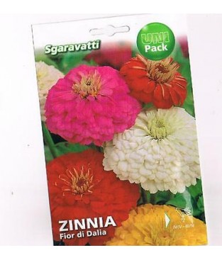    BUSTINA SEMI ZINNIA ZINNIE MIX FIOR DI DALIA