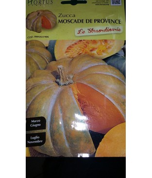 BUSTINA SEMI ZUCCA MOSCADE DE PROVENCE GR 5