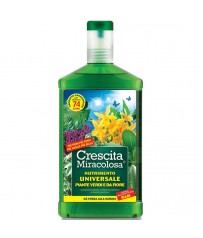 Blumen crescita miracolosa universale 750ml c030001