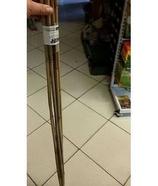CANNA BAMBOOE KIT DA 10 PEZZI ART 4592 DIAM 10-12
