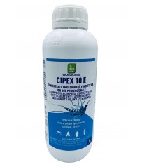 CIPEX 10 E INSETTICIDA A BASE DI CIPERMETRINA LT.12 ZANZARE 12 BOTTIGLIE DA LT 1