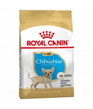 Crocchette per cani Royal Canin chihuahua puppy 500 g