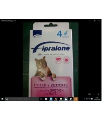 FIPRALONE 50 MG SOLUZIONE SPOT-ON PER GATTI. FIPRONIL