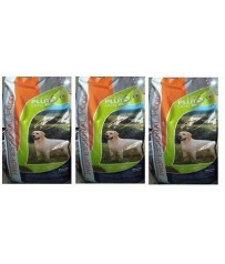  N 3 CONFEZIONI MANGIME PER CANI PLUTO DOG PLUS KG 20  ALIMENTO PER CANI ADULTI