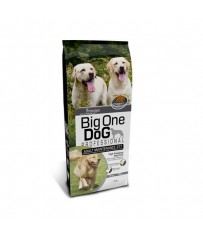Principe Big One dog adult maintenance 15kg