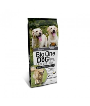 Principe Big One dog adult maintenance 15kg