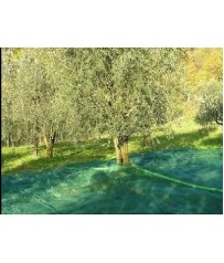 RETE PER OLIVE 6X6 ANTISPINA 