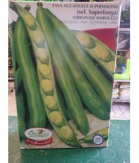 SEMENTI FAVA SUPERLONGA DA KG 1 ORIGGINALE MAROCCO 