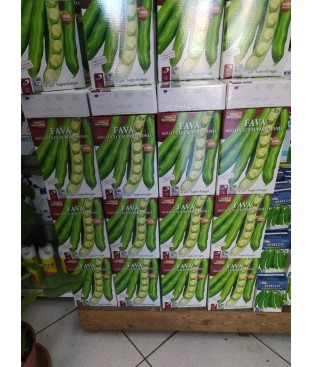 SEMI SEMENTI FAVA AGUADULCE SUPERSIMONIA A LUNG. BACCELLO Originale MAROCCO 1KG