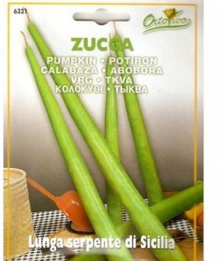 ZUCCA ZUCCHINO LANGENARIA A PERGOLA tenerumi (tarli) peso netto 4,5 BUSTINA SEMI