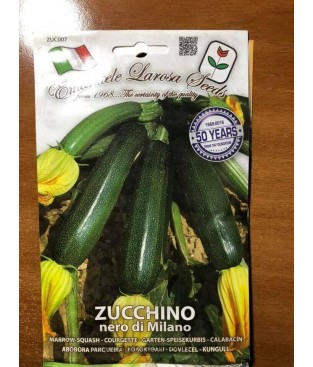 ZUCCA ZUCCHINO NANO VERDE DI MILANO